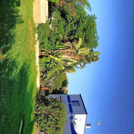 El Palomar *